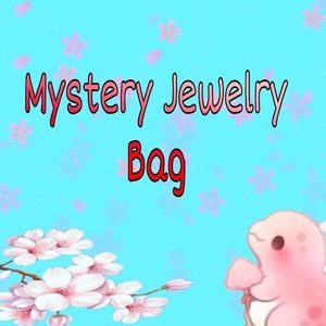 Vintage / Cute Mystery Jewelry Bag